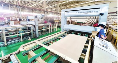 智改数转驱动产业革新 丰林集团人造板产销量激增超20%